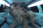 Restraint 7
