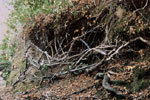 Watershed Sculpture