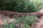 Watershed Sculpture
