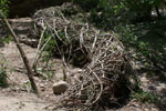 Flood Plain Wall Arroyo Seco Restoration, newly installed