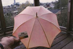 Umbrella litmus test