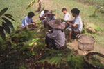 Workers and students at The Land